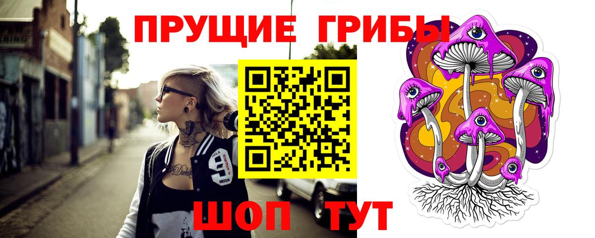 Ленинск-Кузнецкий  Псилоцибиновые грибы мухоморы  Псилоцибиновые грибы Psilocybe  Вход с VPN 